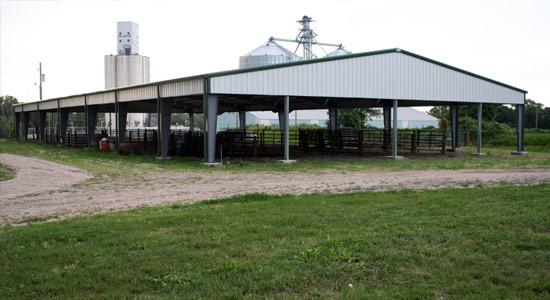 livestockbuilding